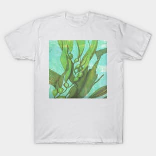 Kelp, seaweed floating underwater. T-Shirt